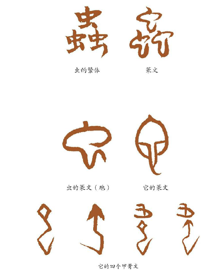 从虫而长,象冤曲垂尾形.上古草居患它,故相问无它乎