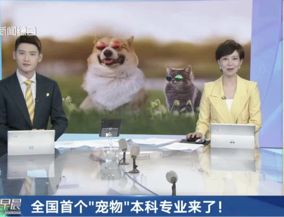 全国首个宠物本科专业来了！是真香还是割韭菜？未来钱途几何？