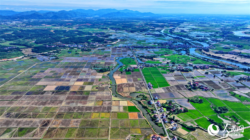 人民网 朱海鹏摄九江市永修县马口镇一带,蓄水翻耕后的高标准农田如同