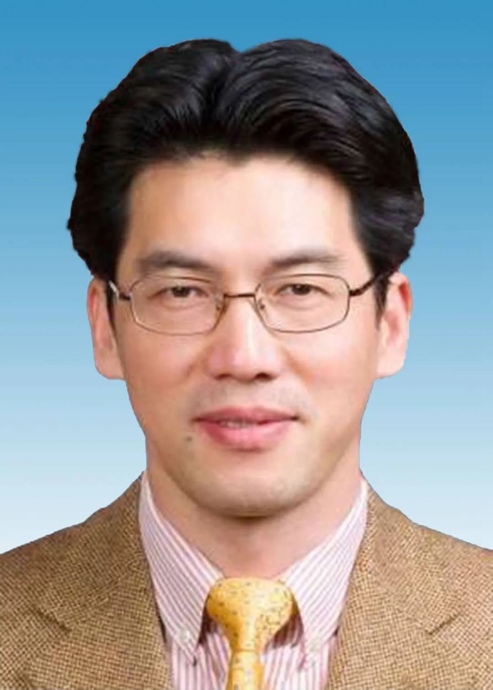 2018年3月至2023年5月任中央外事工作委员会办公室副主任;2016年1月至