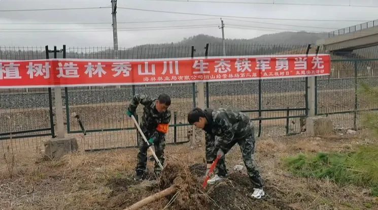 兴隆林业局有限公司结合"4·20"森工植树日,在公司局址地区和山上各