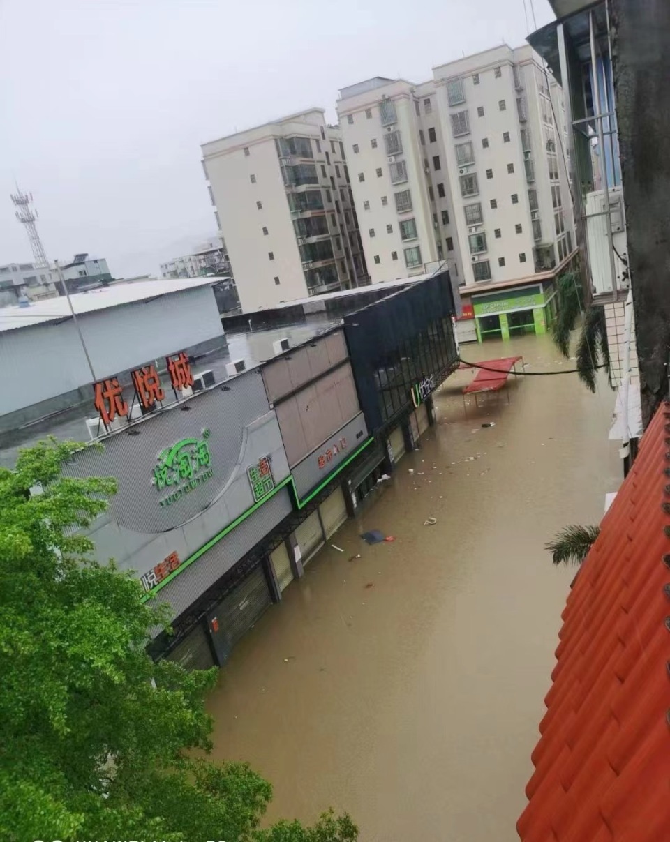 【现场】广东遭遇强降雨,英德养蚕人一夜亏损3万
