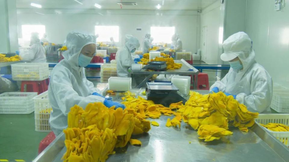 宁明：全力打造边境地区高质量发展示范产业园区_腾讯新闻