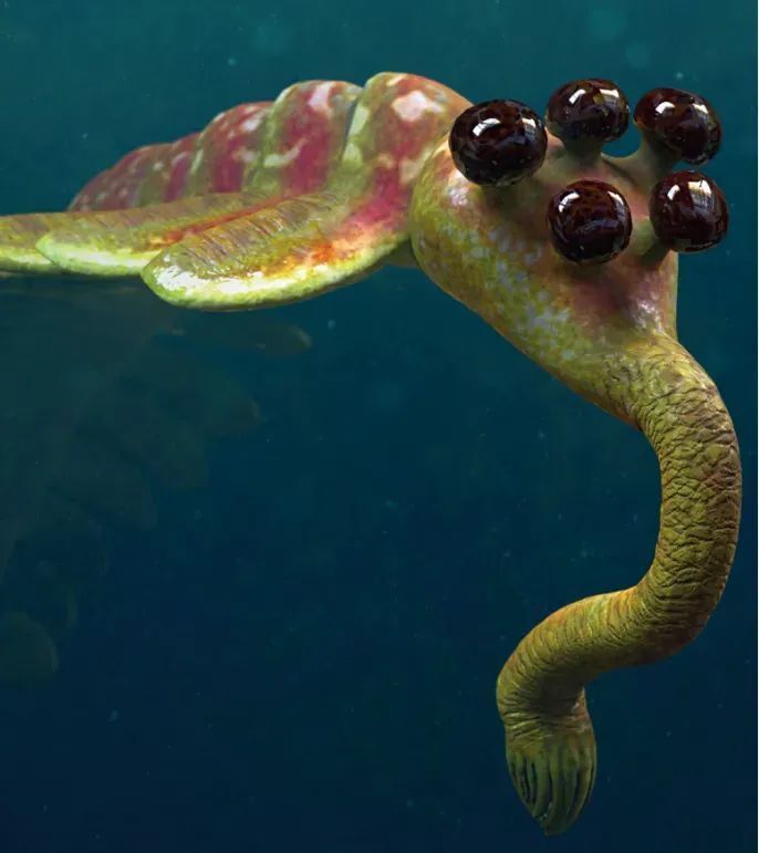 一本书读透6亿年生物进化史!一起追寻《消失的动物》 !