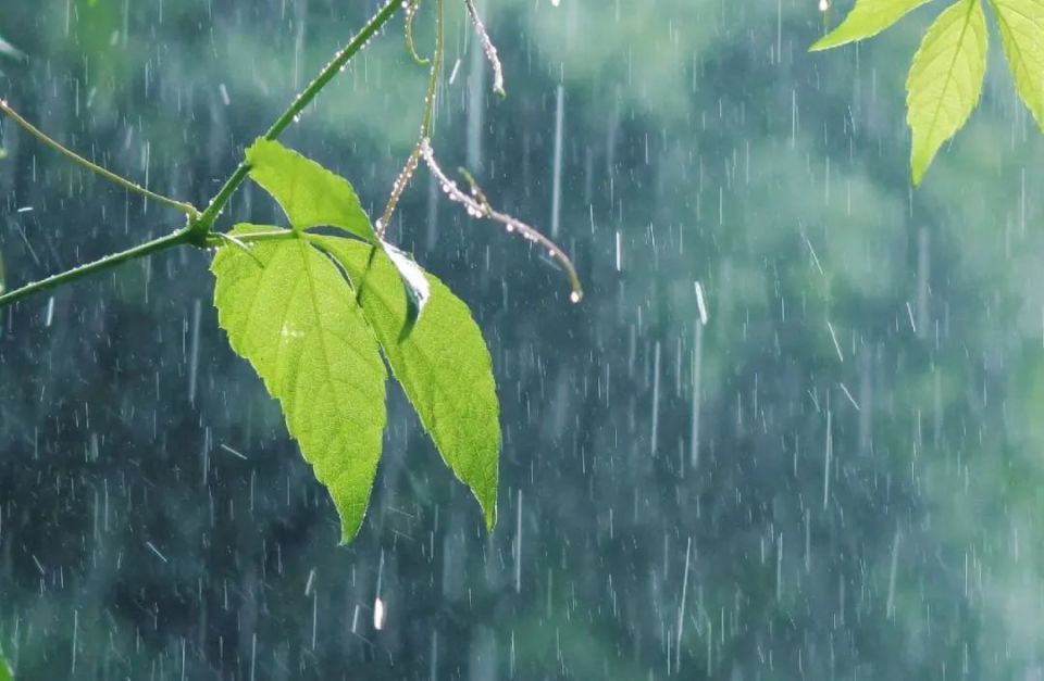 大雨转雷阵雨图片