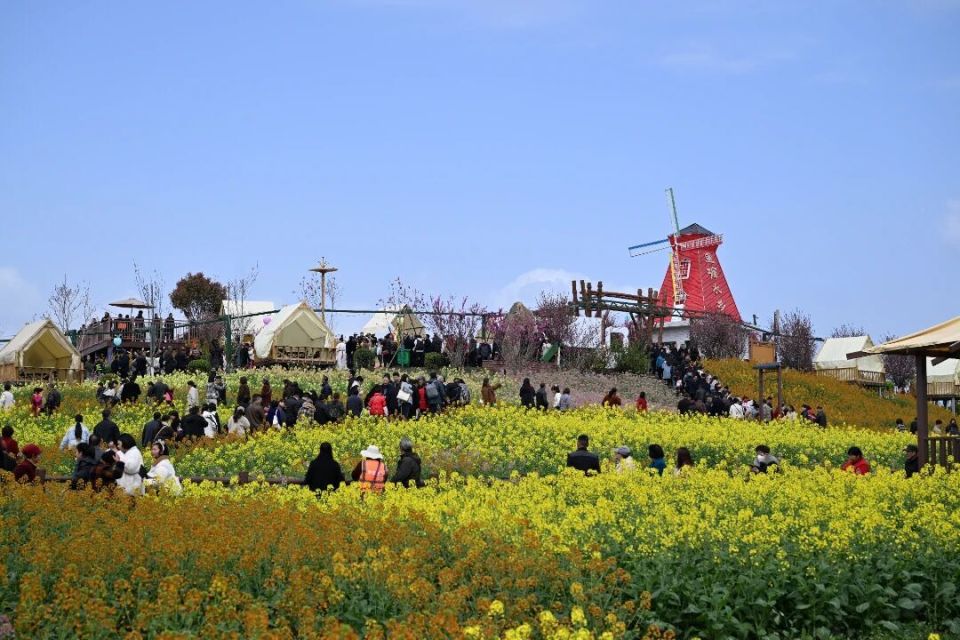 2026最美油菜花海汉中旅游文化节盛大启幕!_腾讯新闻