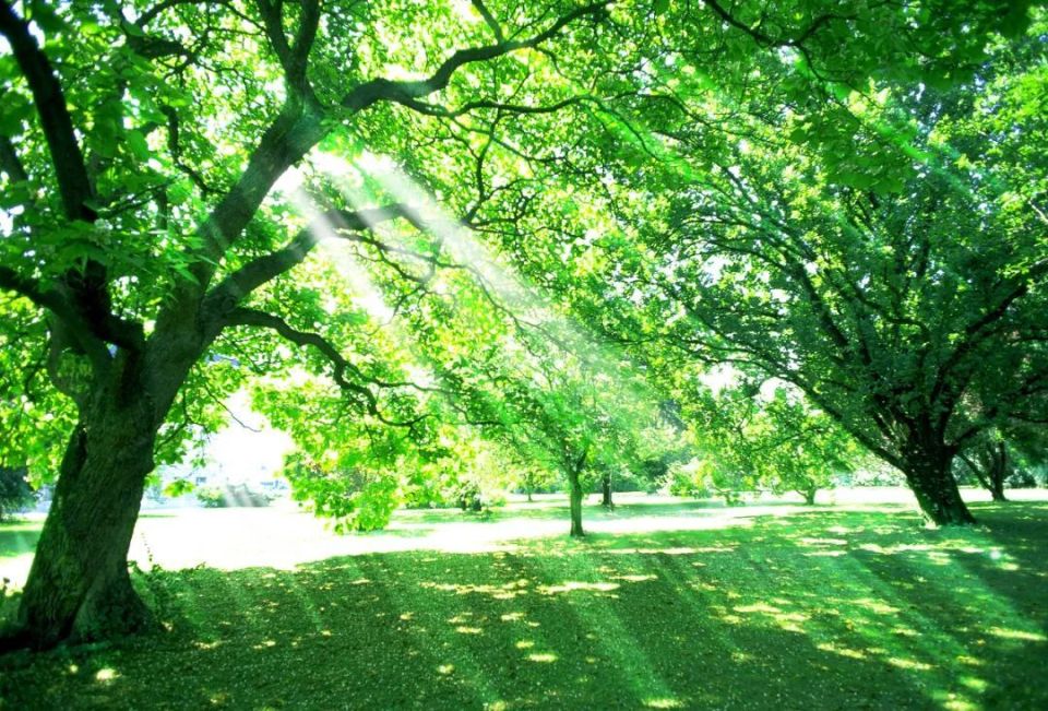 火险预警&护林防火|森林防火莫大意!防火小知识请查收!