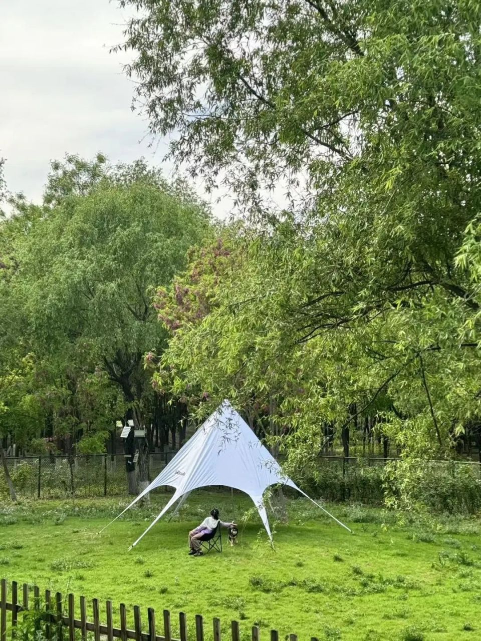 每一只狗狗都值得可以奔跑的大草坪 | 北京宠物营地指南