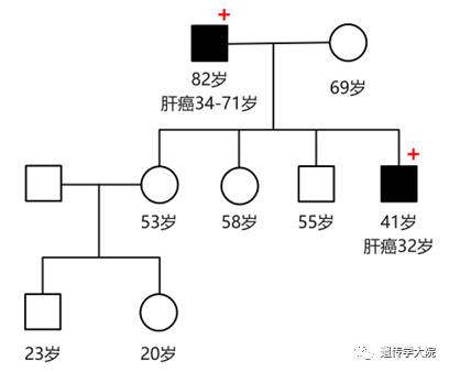 肝癌患者,为什么需要进行遗传咨询?