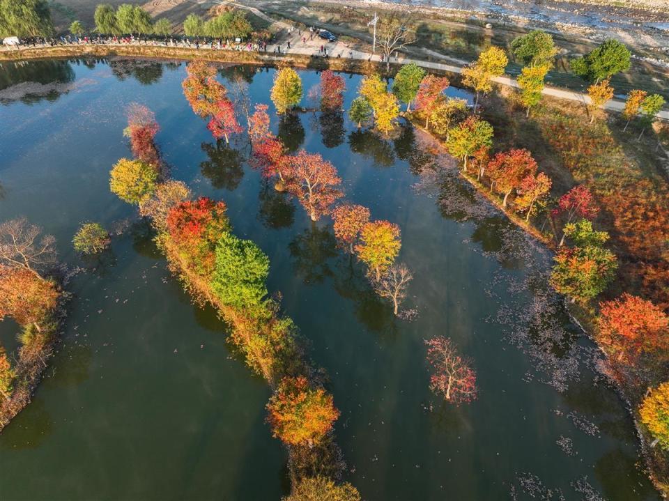 斑斓彩林染深秋生态美景入画来