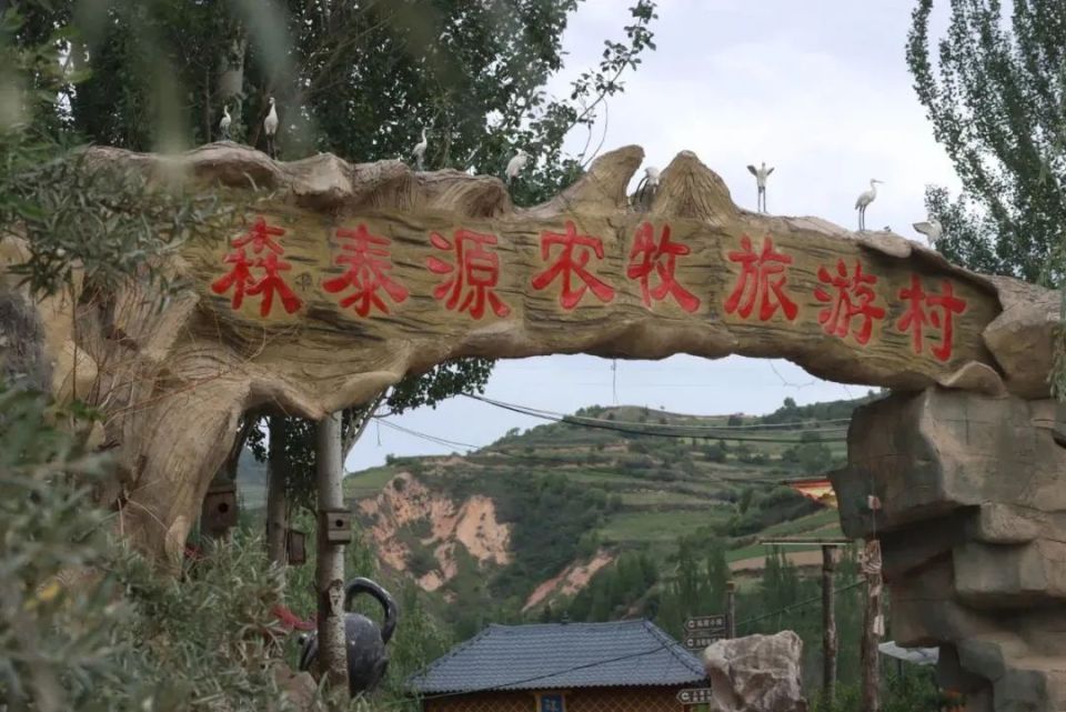 【网络中国节·端午】端午来陇西,这份避暑攻略,包你放"粽"畅玩!安排