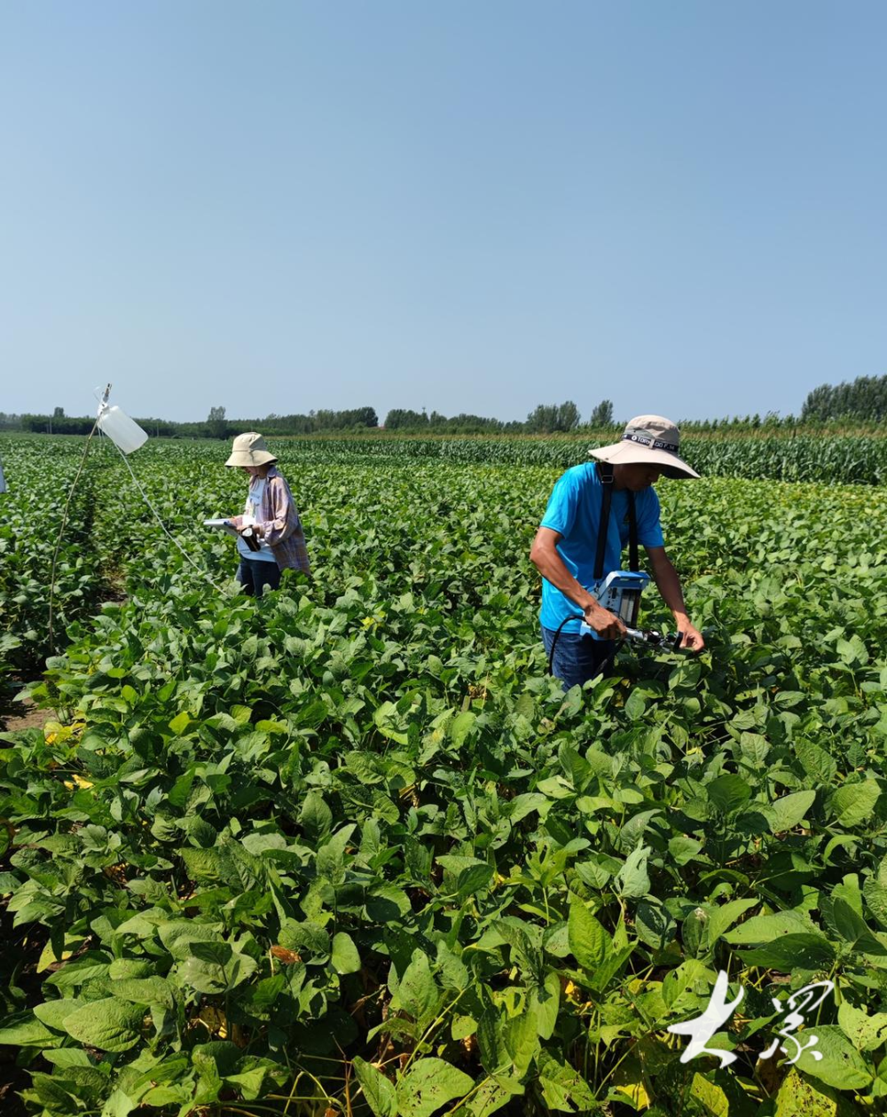 山东这个农场给出答案