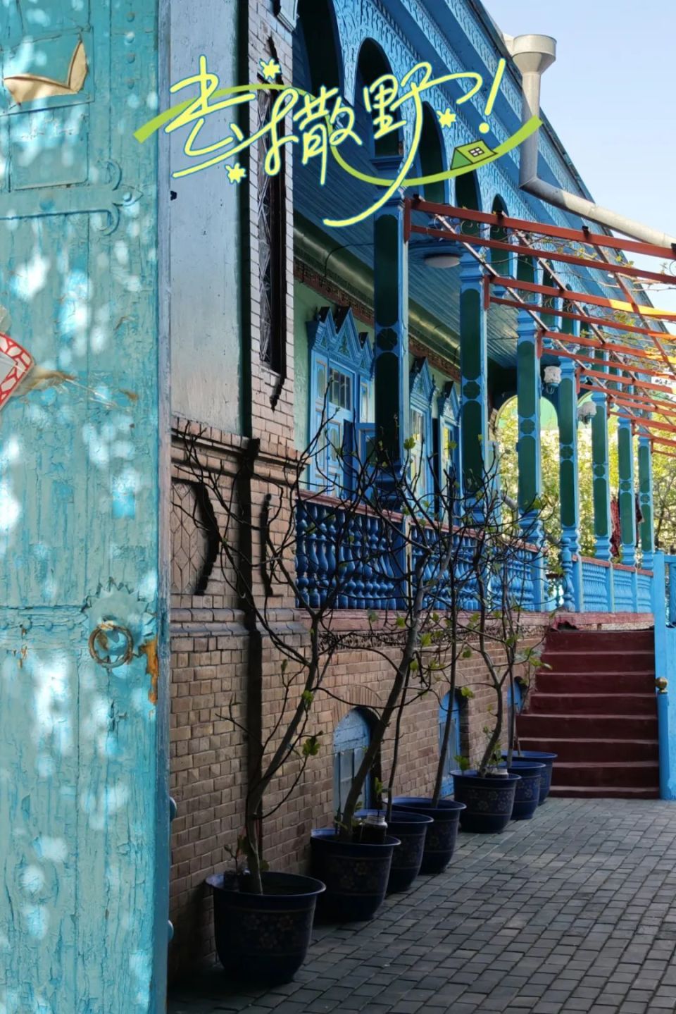 春日多巴胺city walk伊宁