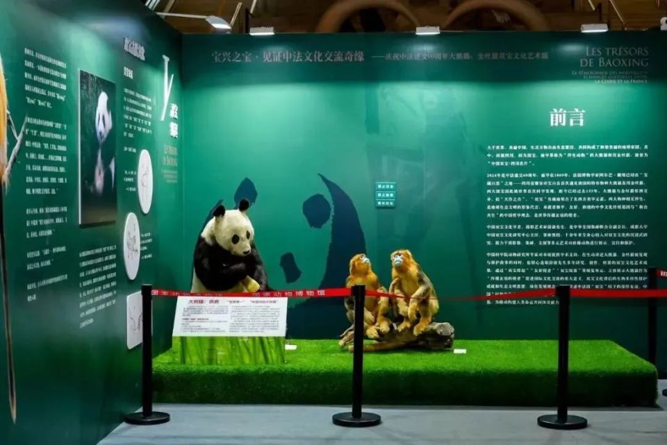 国家动物博物馆:儿童节当天14周岁以下儿童可免费参观