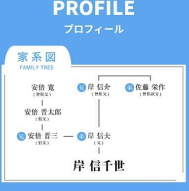 譜系圖上的名字包括曾任日本首相的安倍晉三,岸信介和佐藤榮作等人