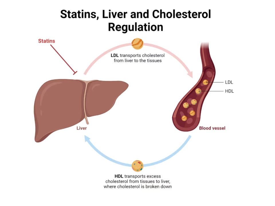 EV是什么针第一批90后已经高血脂！打一针管半年的降脂新方法来啦_https://www.jmylbn.com_新闻资讯_第6张