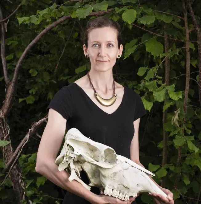 这本书,将颠覆你对古生物学的刻板印象