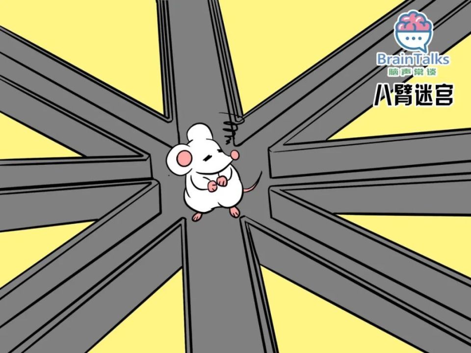 madsen测试什么脑声常谈丨啮齿动物中风模型行为测试范式汇总_https://www.jmylbn.com_新闻资讯_第8张