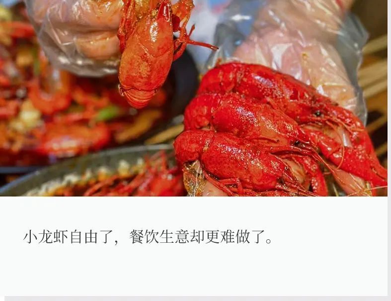 小龙虾创业者劝退…_腾讯新闻