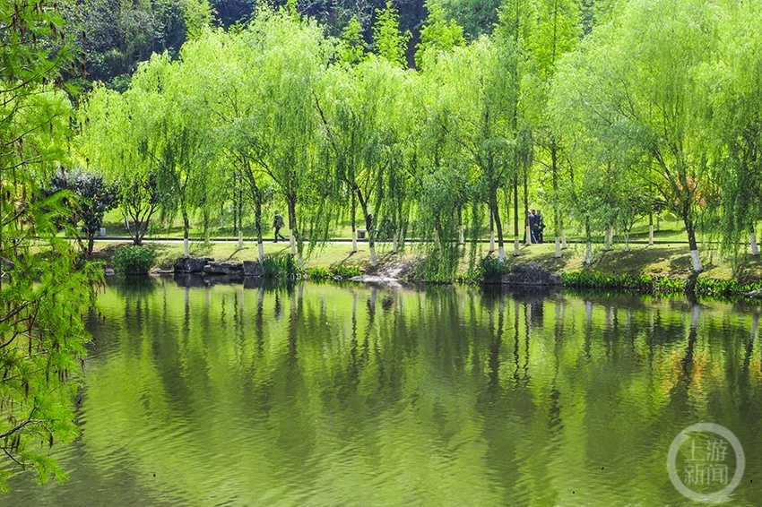涪陵铜鼓湖公园满园春色美如画
