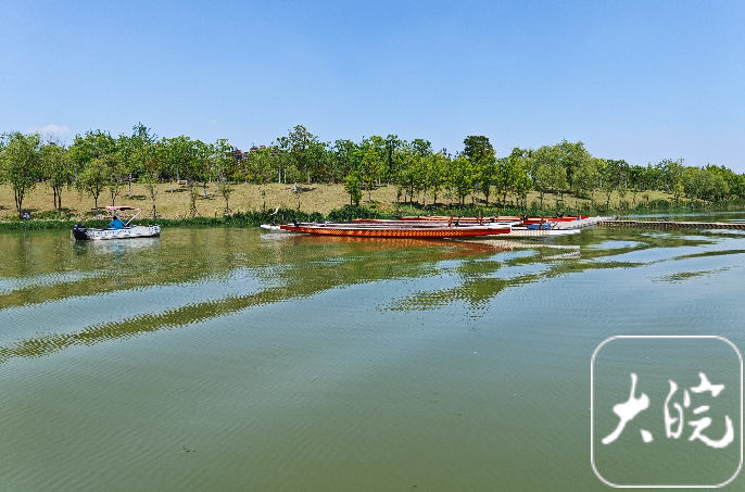 合肥少荃湖龙舟训练基地即将开建,年轻人越来越关注龙舟文化