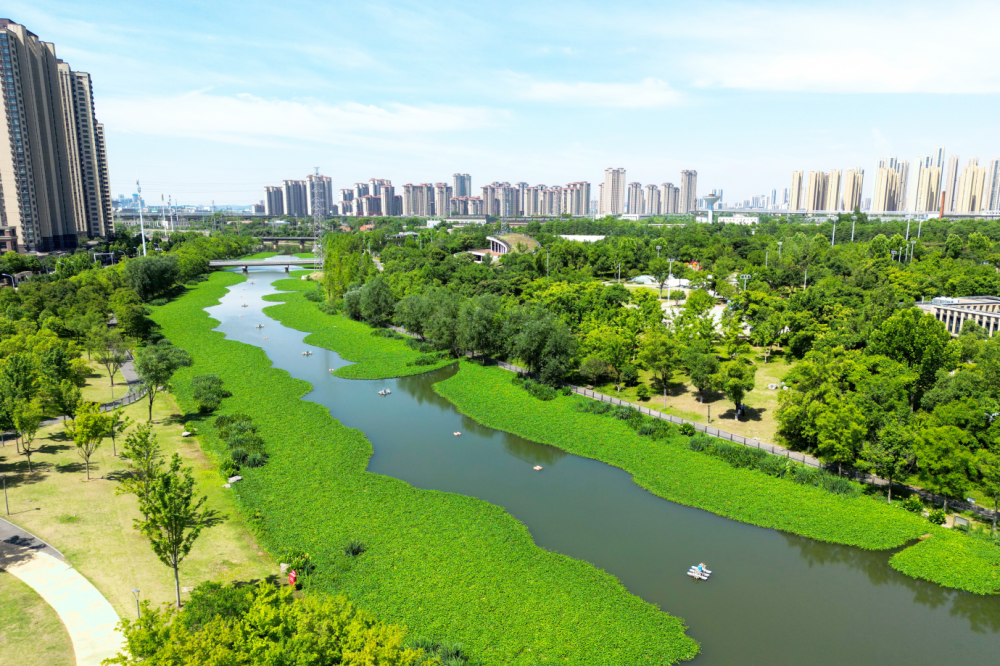 气息与自然环境完美融合生态运动主题交相辉映78巡司河风情公园和