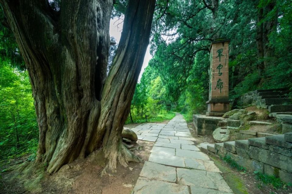 级旅游景区(21个)皇泽寺景区曾家山景区昭化古城苍溪红军渡·西武当