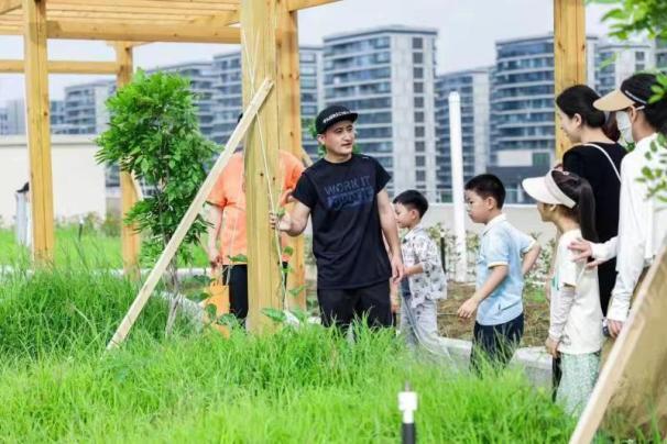 杭州3000平方米屋顶农场,有人说,这是"校园最美屋顶"_腾讯新闻