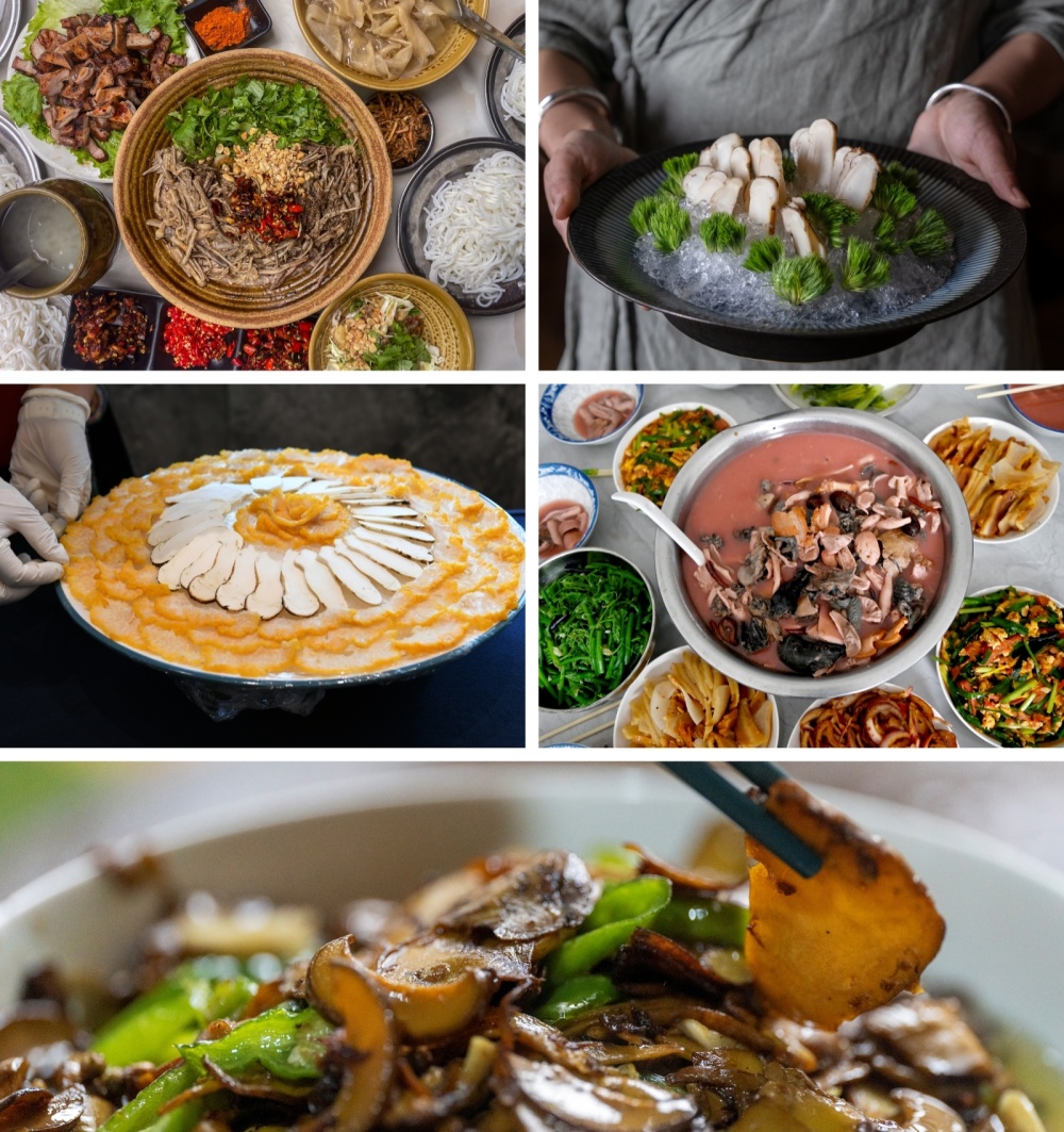 神州风物丨彩云之南寻"菌"季