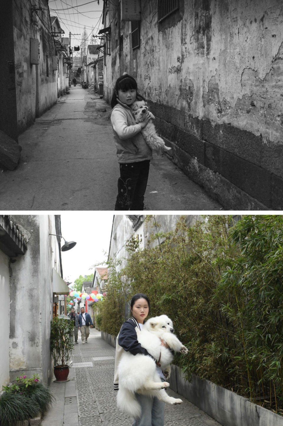 拼版照片:上图为2008年,6岁的陈萍抱着宠物狗"波斯"站在湖州小西街的