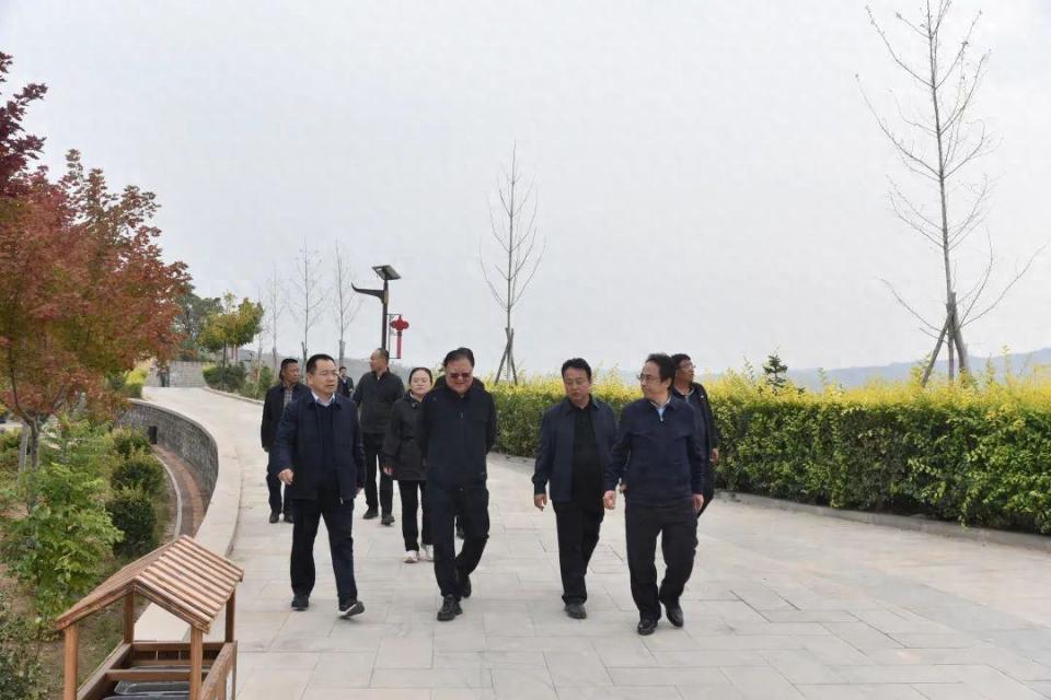 王彤宇在石楼县调研督导_腾讯新闻