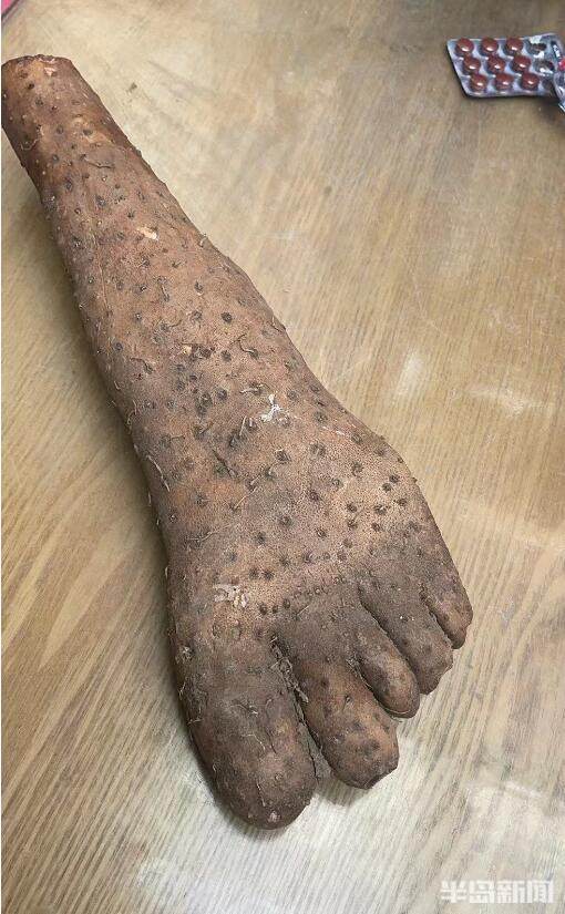 平度男子买了只山药,长得极像人脚,快看-腾讯新闻