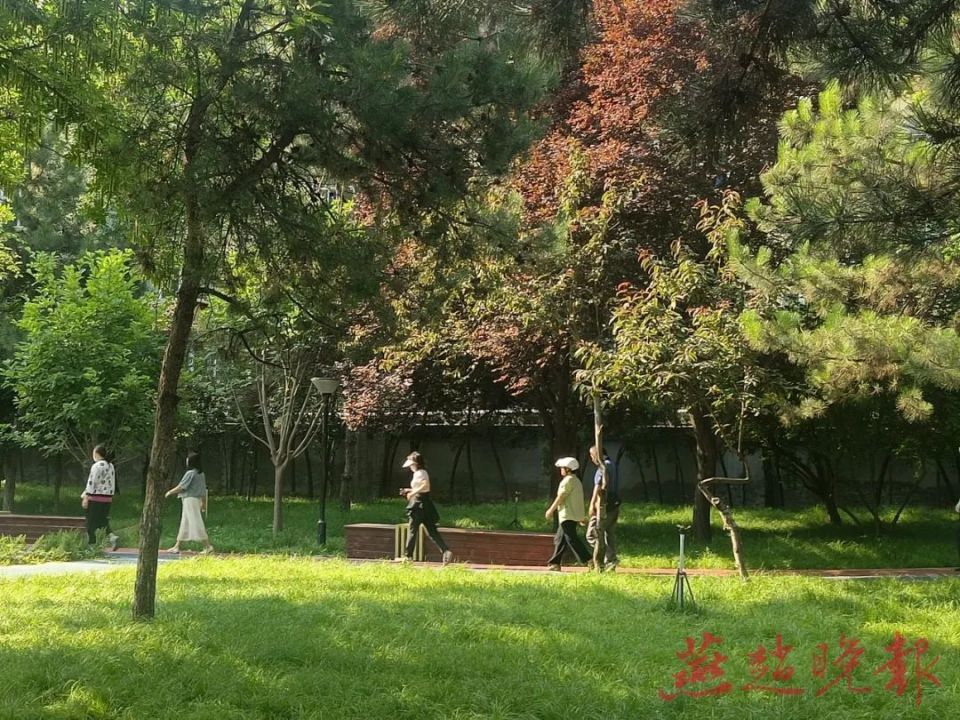 石市许多市民走进公园绿地,乐享"公园20分钟效应",亲近自然.