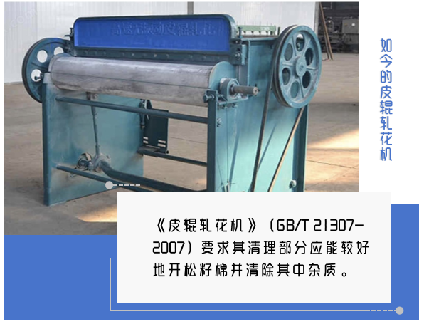 常见的棉,没你想的那么简单