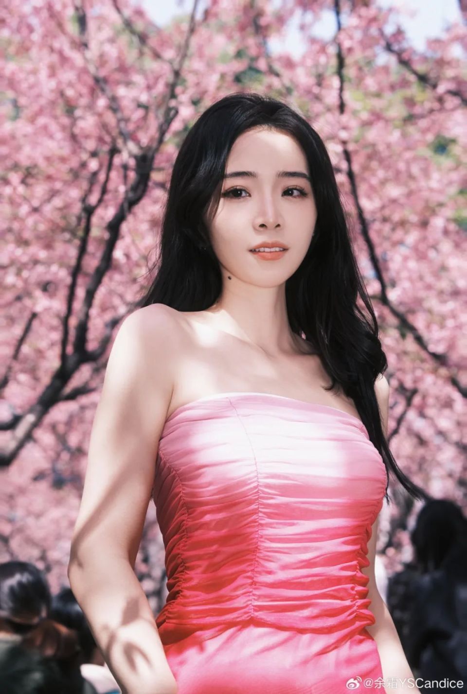 【lpl老婆】余霜春日樱花照,一身粉太少女了_腾讯新闻