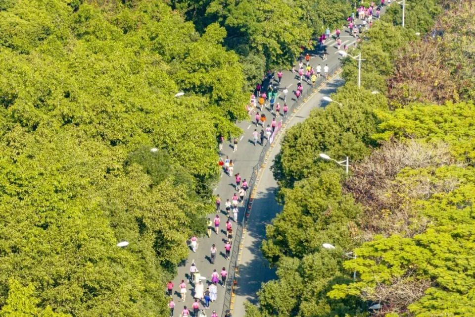 2026年湾区女子半程马拉松将于2026年1月1日在增城热力开跑2万名跑友即将齐聚于此共赴一场活力洋溢的新年之约！目前赛事报名已满额诚邀所有参赛跑友在畅跑半马之余也能悠然漫游增城下面这些精心整理的游玩线路助你奔跑之余深度领略增城的自然之美与人文之趣期待与你相遇在增城的赛道与风景里！“骑遇增城 骑乐无穷”——中国户外运动精品骑行路线（广东省唯一）中国自行车运动协会公布“2024年中国骑行地图精品骑行