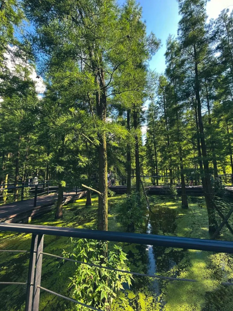 推荐 | 在遵义,来一场节后收心之旅!n种方式一键找回状态