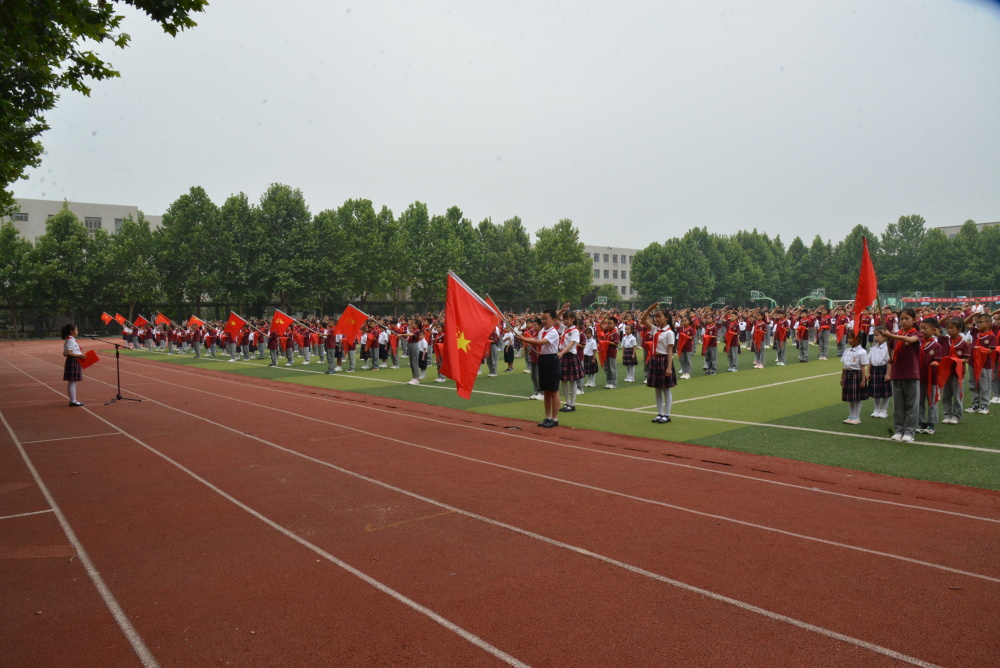 桓台县实验学校电话图片