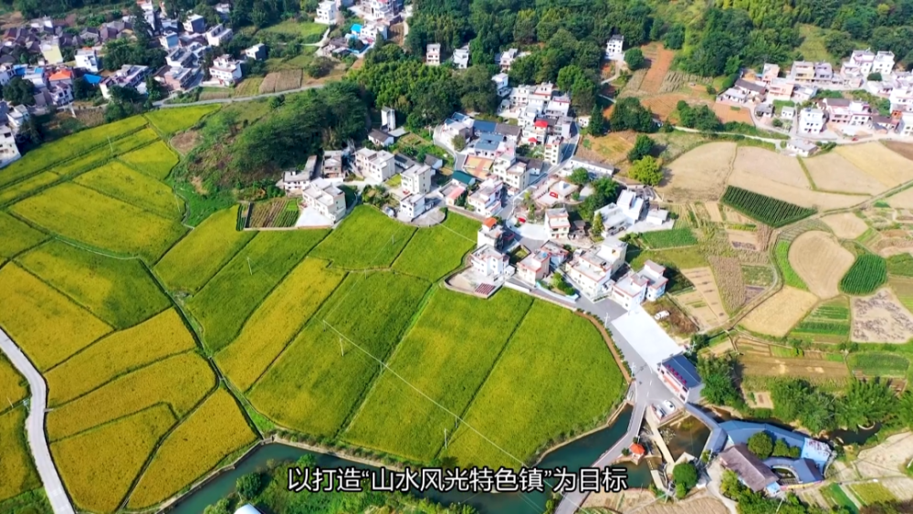 奋战"百千万" 连州"镇"功夫