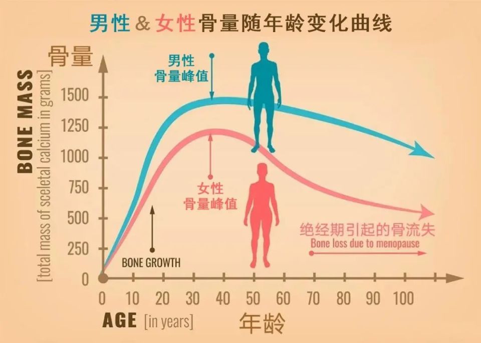健康科普 | 科学防治骨质疏松,切莫一"钙"而论