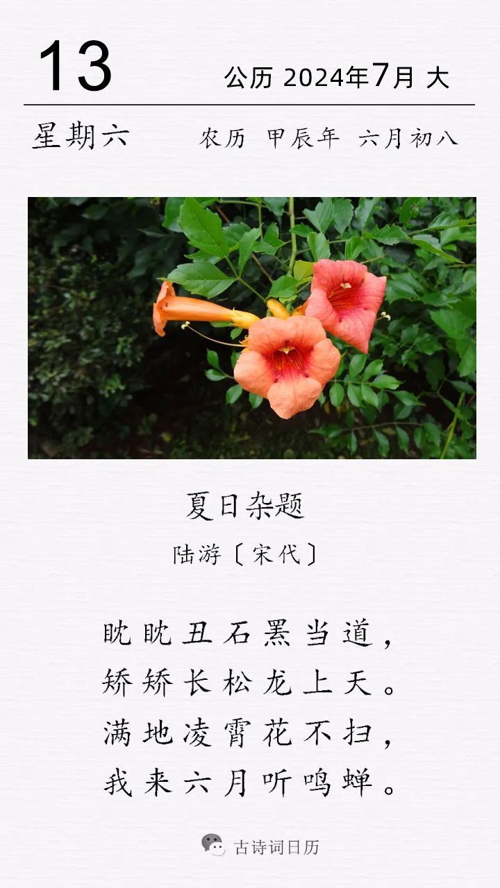 陆游《夏日杂题》