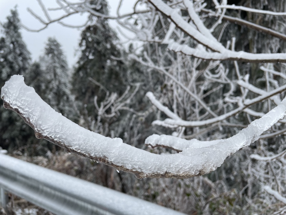 新春走基层特写一路踏冰护民生