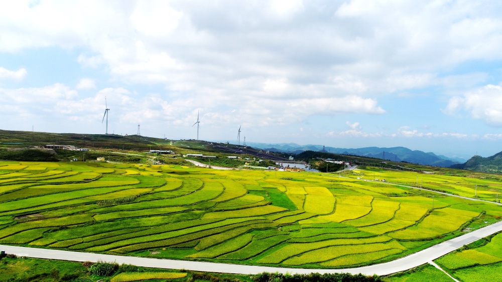 贵阳高坡梯田打翻了秋天的调色盘