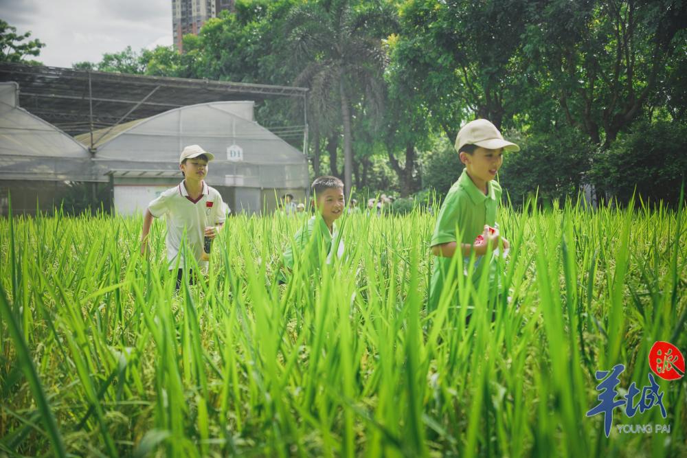 广州市中学生劳动技术学校坐落在广州西北角外,在广州与佛山交界的