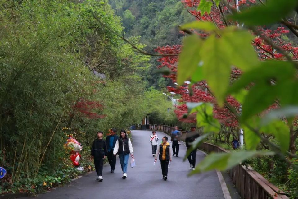 绥阳县红果树景区停车场内,密密麻麻停满了来自各地的自驾游车辆,景区