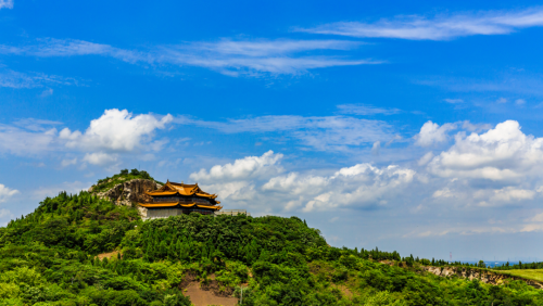 绿树阴浓夏日长 尽情享受夏日清凉 