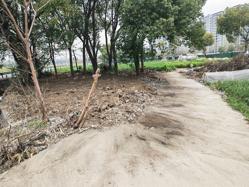 乔司街道人大办公室供图"集中接待选民群众后,我们会通过五环连督