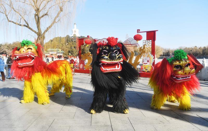 大年初一北海首次上演"舞狮"闹春_腾讯新闻
