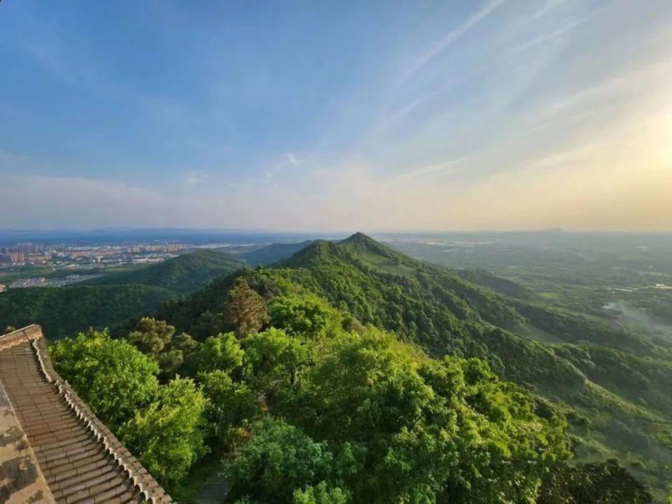 敬亭山的云海,茶园,竹林.初夏的绿意浓到化不开