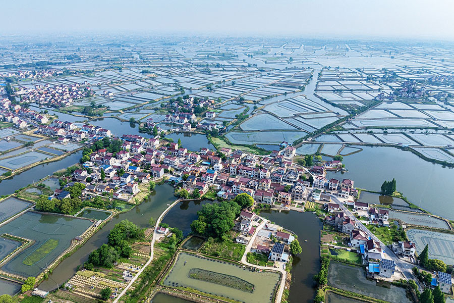 当涂县塘南镇曹坝村的水乡田园美景.